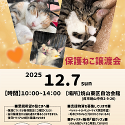 保護ねこ譲渡会