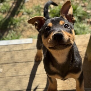 募集一時停止中です男の子ウミ君