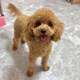 名前を呼ばれたらダッシュで抱っこ♡甘えん坊さん♪