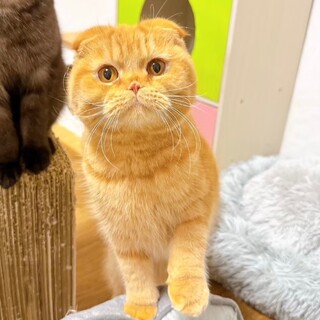 モデルさんの素質トップクラスのイケメン♡