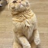 モデルさんの素質トップクラスのイケメン♡ サムネイル6