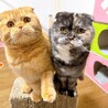 モデルさんの素質トップクラスのイケメン♡ サムネイル7