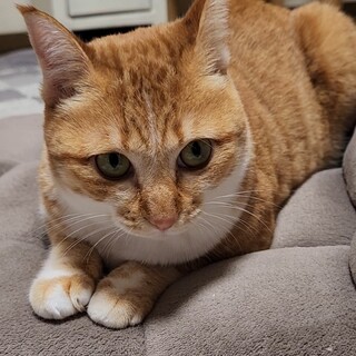 キュートな小梅ちゃん