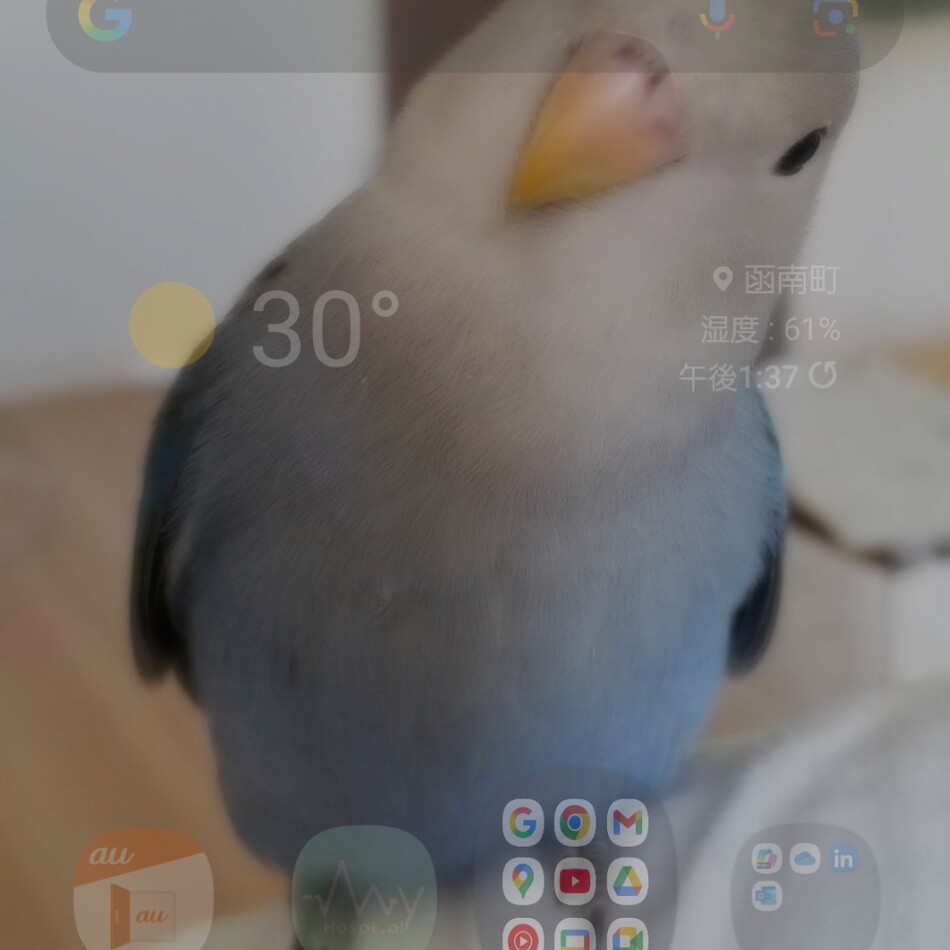 ぽんちゃんのカバー写真