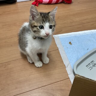 とても元気いっぱいになりました(^^)