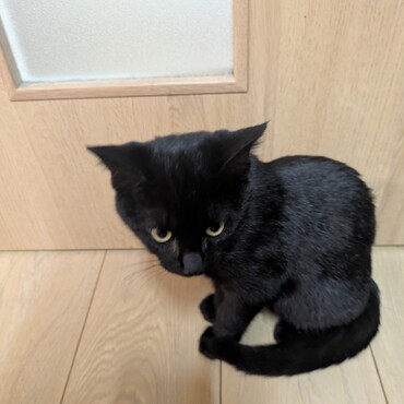 まだ家の確認中