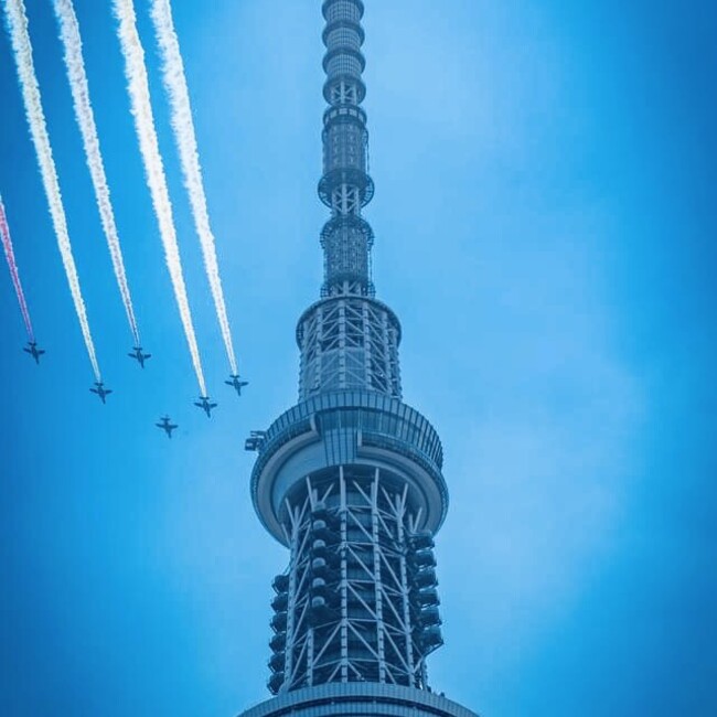 kaco_neko (かこねこ)のカバー写真