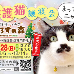保護猫譲渡会inくろすの森（クロス）