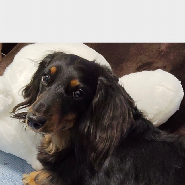 きーかなのカバー写真