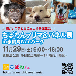 ちばわんフリマ&パネル展 in 東扇島Wanパーク サムネイル2