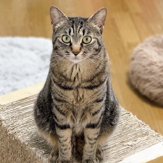 シャー語でコミュニケーション…実は寂しん坊♪