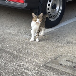 可愛い男の子！ちょびひげがポイントです！