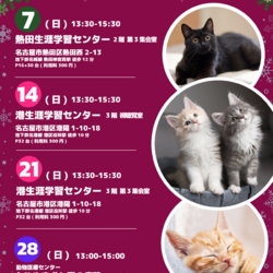 ▼猫の譲渡会▼名古屋市守山区