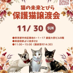 ★猫の未来とびら譲渡会★東銀座徒歩2分★東劇隣