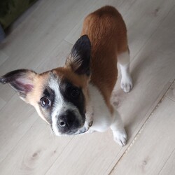 眼鏡がああああぁぁぁぁ