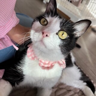 人が大大好き！あっという間に馴染んじゃうリノちゃん