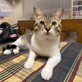 人が大好き♡好奇心旺盛⭐︎ロンくん