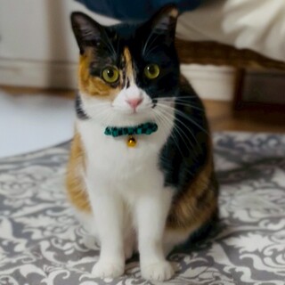 物怖じせずの陽キャガール❤︎モルちゃん