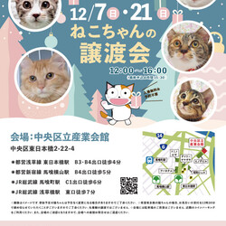 ねこざんまい譲渡会@東日本橋