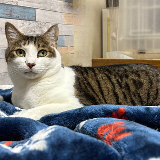 もっふりむっちり♡人見知りなところもかわいい子