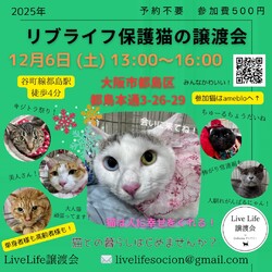 LiveLife譲渡会inキャットソシオンギャラリー