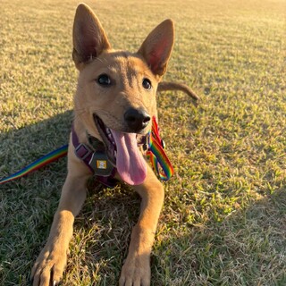 やんちゃで甘えん坊なアクティブ女子【ちまき】