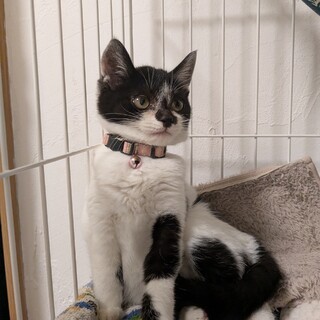 家族ができました????????????