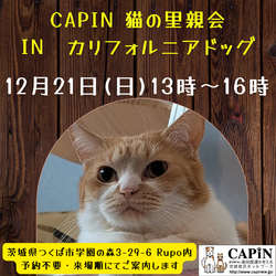 CAPIN ねこ里親会　INカリフォルニアドッグ