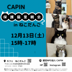 CAPIN ねこの里親会　IN カフェねこだんご