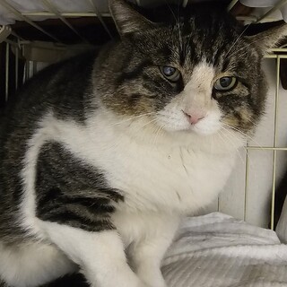 エイズキャリアっ子だけど元気なまんまる男の子