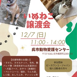 いぬねこ譲渡会