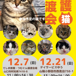 保護猫譲渡会クローバーの会 サムネイル1