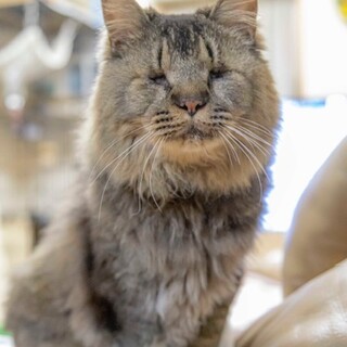 盲目の甘えん坊！むつき