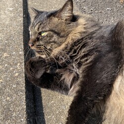 ご無沙汰してしまい・・・・