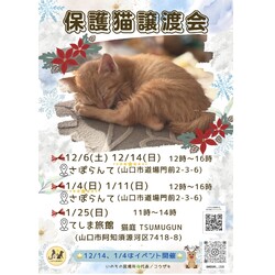 保護猫譲渡会in阿知須猫庭つむぐん