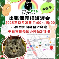 ねこけん千葉支部　譲渡会 サムネイル1