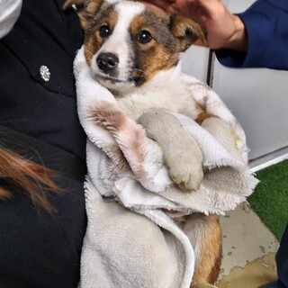 お迎えにお越しくださりありがとうございました！