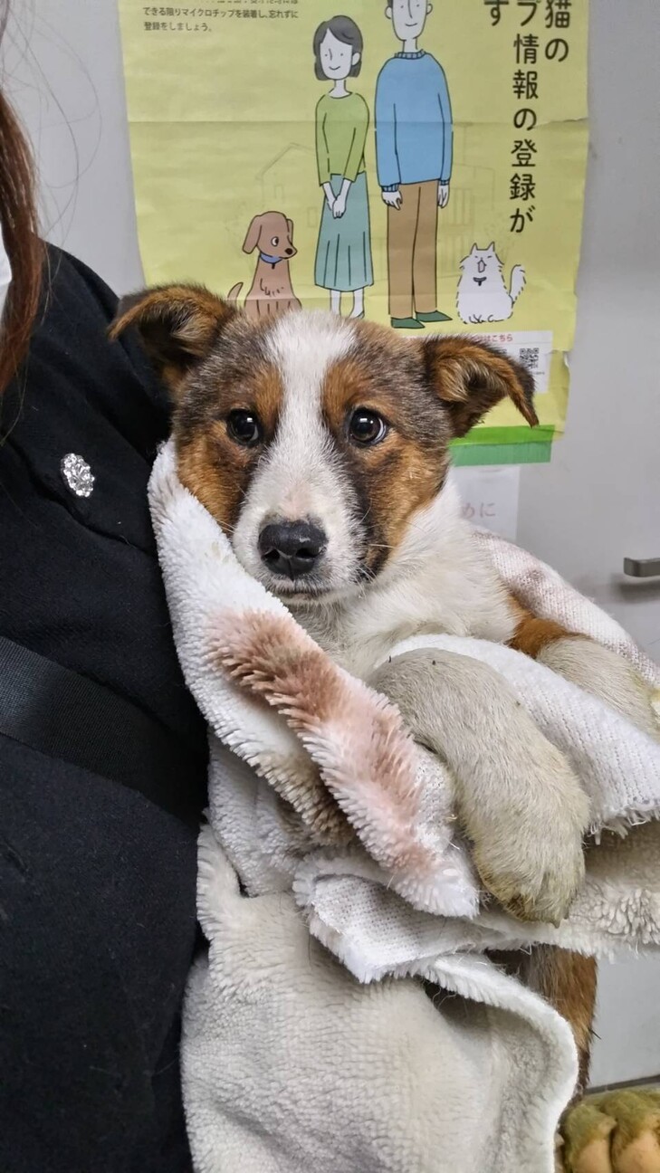 お迎えにお越しくださりありがとうございました！ サムネイル3