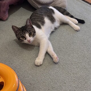 人慣れMAX！とーーーってもベッタリ甘えん坊さん♡