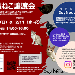 【SoyNeco会主催】保護ねこ譲渡会