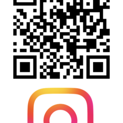 【SoyNeco会主催】保護ねこ譲渡会 サムネイル2