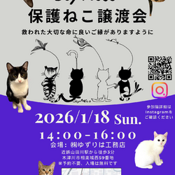 【SoyNeco会主催】保護ねこ譲渡会