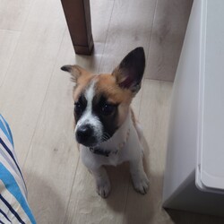 ぼんちゃんどんどんデカくなる