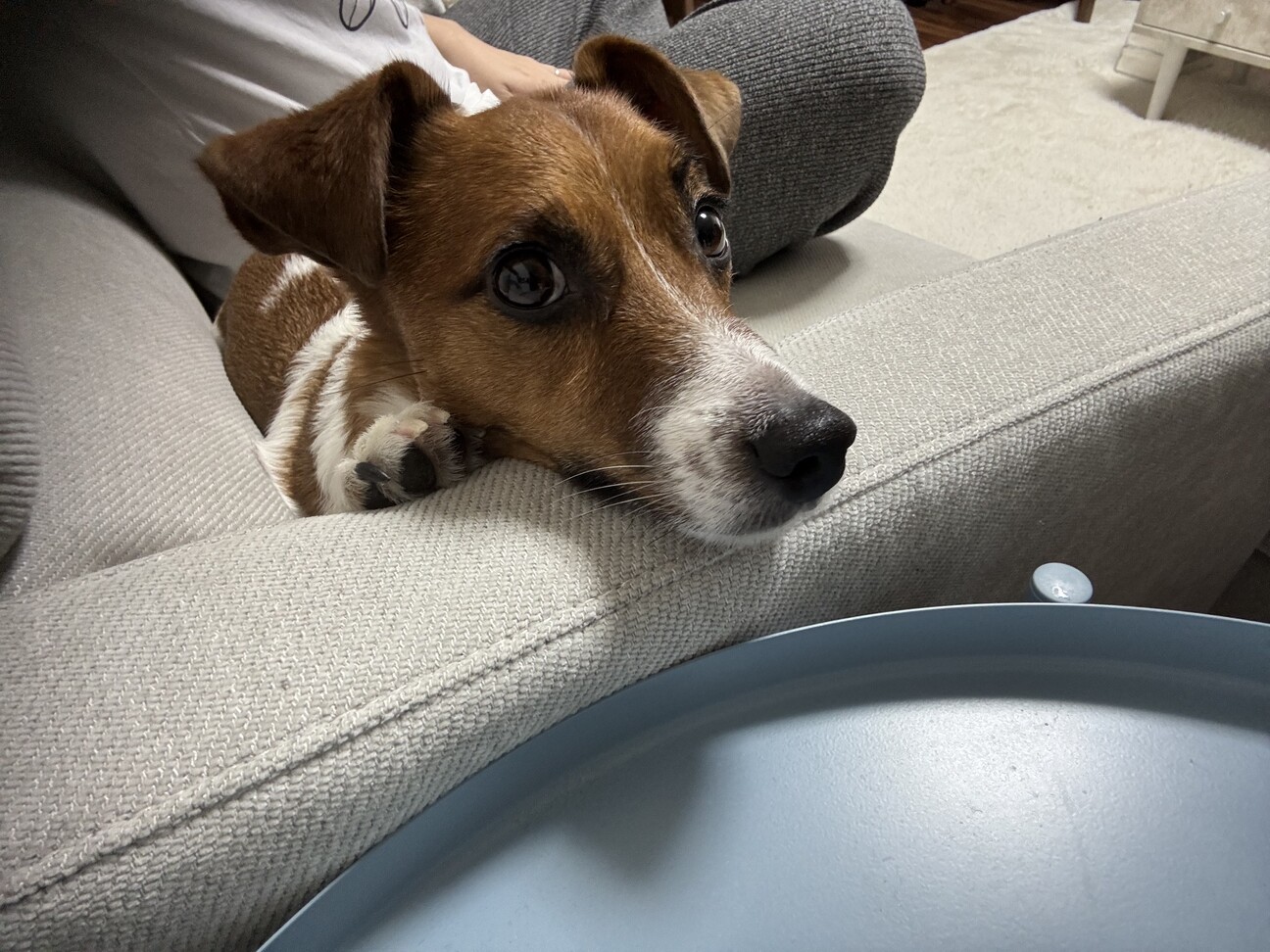 4歳、男の子です。 サムネイル1