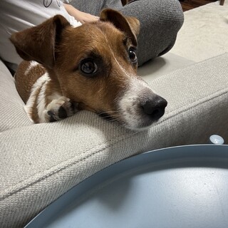 4歳、男の子です。