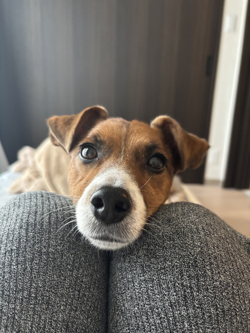 4歳、男の子です。 サムネイル2