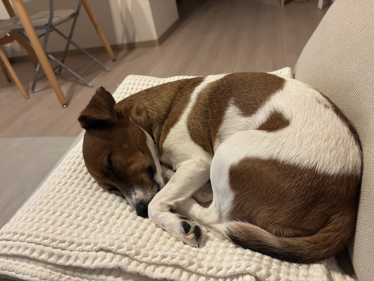 4歳、男の子です。 サムネイル3