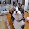 抱っこ大好き♡ サムネイル3