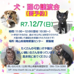 犬・猫の譲渡会