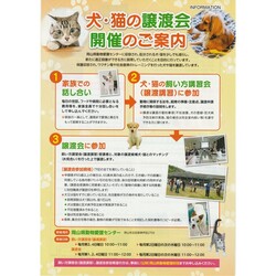 犬・猫の飼い方講習会・譲渡会 サムネイル2